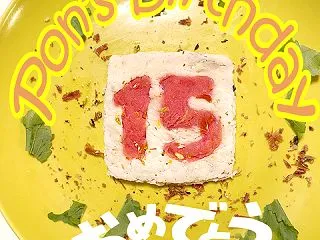 今日はぽんの誕生日