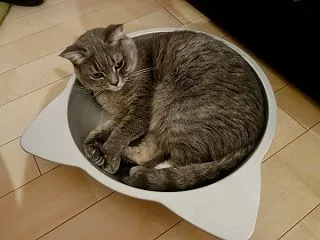 いつまで使うかな？