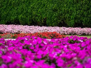 花の都公園へ10/6