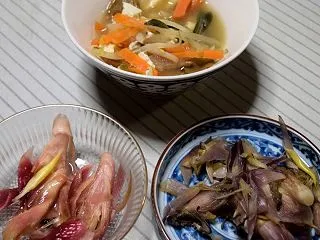 ミョウガの子は終わり