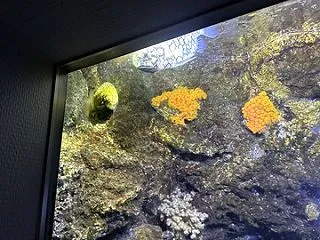 いおワールド鹿児島水族館４０