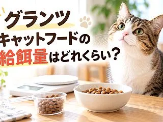 GRANDS（グランツ）キャットフードの…