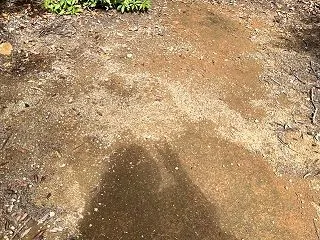 広島好きなとこめぐり旅⑦♪