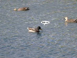 しばらく会ってないので忘れてた