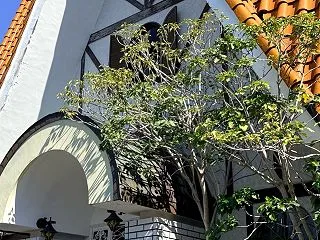 静岡伊豆の国市・県道134 喫茶プリンス…