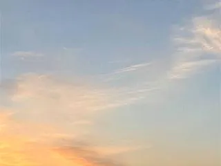 シカゴの観光って？