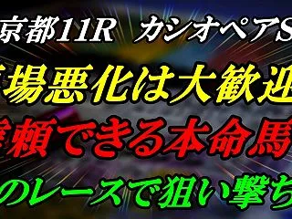 【カシオペアS予想】馬場悪化で条件好転！…