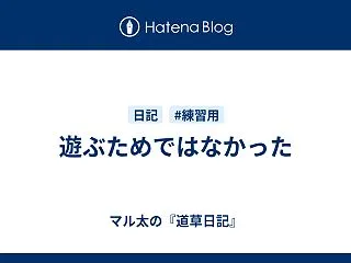 遊ぶためではなかった