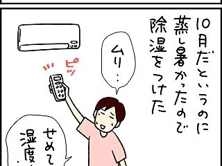 日だまりのすきま猫