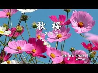 一期一会のメニュー表記について
