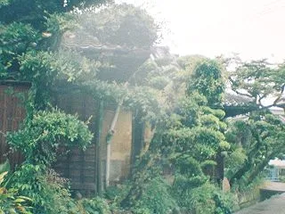 Diana Miniで撮った水間鉄道の旅…