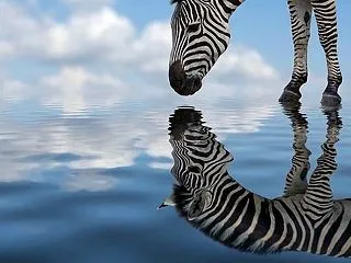 【40】なぜセルフイメージを変えたくても…