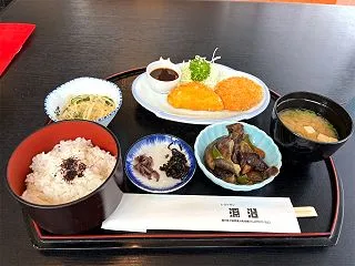 ネギ栽培など