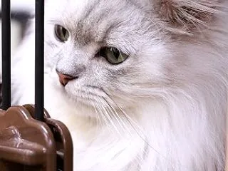 近況