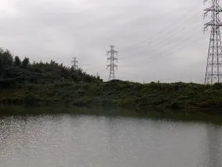 近所の野池 ・・・１０月２３日夕方