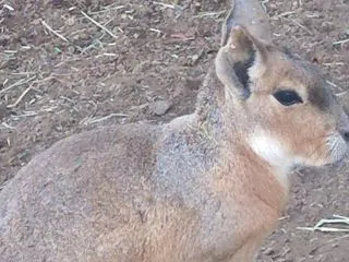 シャボテン公園