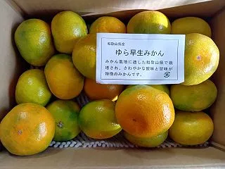 【３月優待】アイコム...みかんだよ