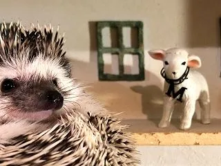知らなかった!こんなことでも炎症になるな…