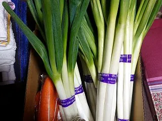 ネギを買いに行って来ました(・∀・)ノ