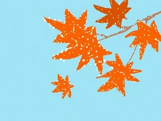 今日は二十四節気の一つ「霜降」（そうこう…