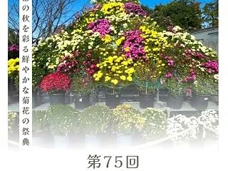 【小山市】「第75回 小山市菊花大会」1…