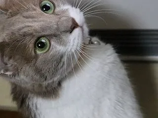 ようやく復帰する先輩