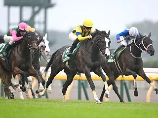 無料予想【アルテミスステークス2026】