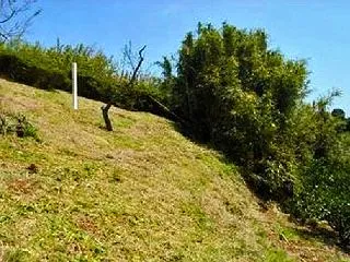 高草山南麓の横穴式石室を有する円墳 ネッ…