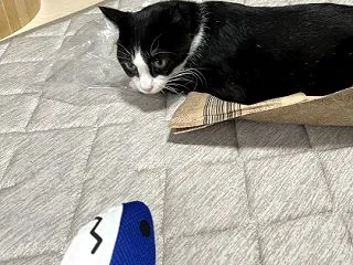 そして元に戻る