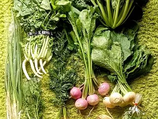 鎌倉の大好きな野菜直売所「いいだ屋」さん…