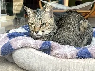 ココロの冒険 