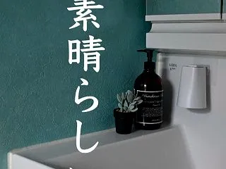 【狭い洗面所でも諦めない！】娘に教えても…
