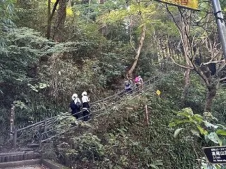 今日は夫と高尾山 