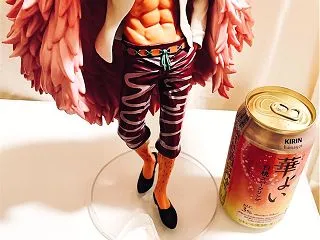 ドフラミンゴさん、お誕生日おめでとうござ…
