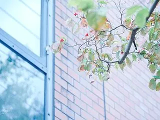 「すみません、お客さんが！」でも、大丈夫…