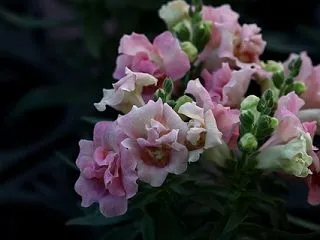 今日のおススメ