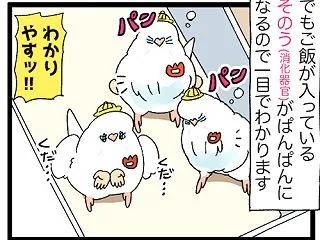 ベビバブのパンパンなポンポン、ラブリーだ