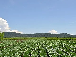 「ある日突然・・・」が現実になろうとして…