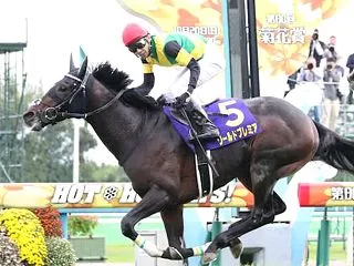 【菊花賞2026】全頭血統診断、今年の菊…
