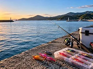 淡路島のタコ釣り｜堤防・釣り船の前に知っ…