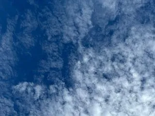 環境と付き合う人で、運命が分かれる