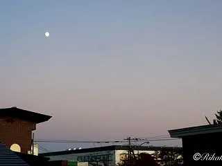 マンモグラフィ検査の是非 ～利益と不利益…