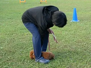 何故そこに？