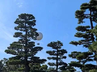 第4回 リアルカフェコンフェイト 2日目