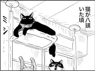 猫のタワーケージ