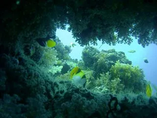 去就