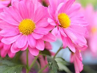 子供だから言うことを聞きなさいと考えてい…