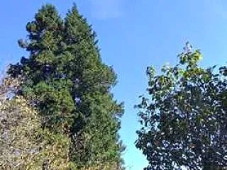 2026.10.22(木)☆お墓参り＆蕎…