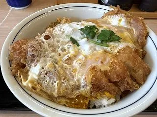 かつや 高知インター店