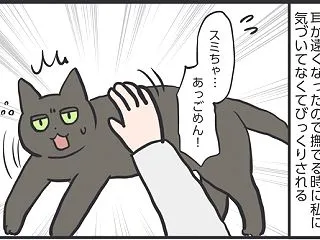 スミちゃんは申請制